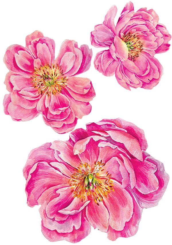 Perfect Like Peonies